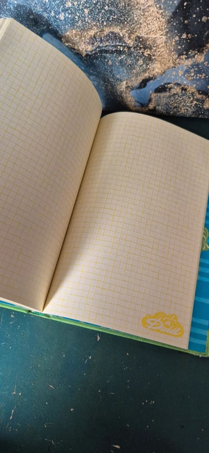 Carnet de note diddl - photo numéro 7