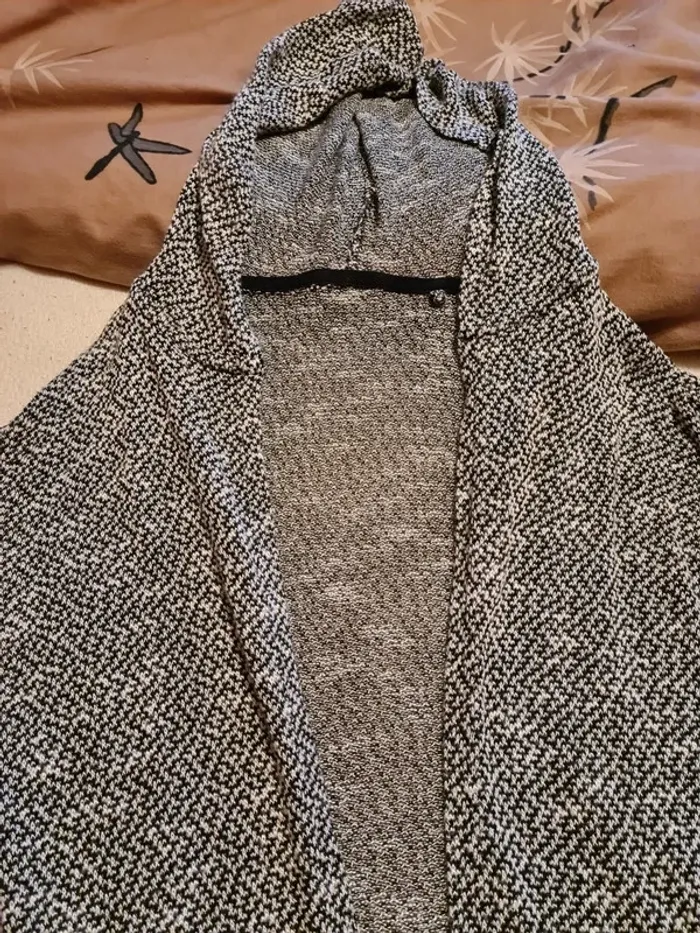 Gilet a capuche - photo numéro 2