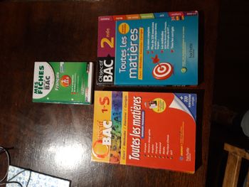 Lot 3 livres BAC