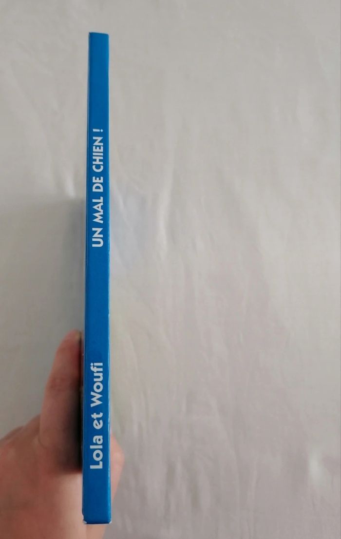 Livre les aventures de Lola et woufi un mal de chien ! - photo numéro 3