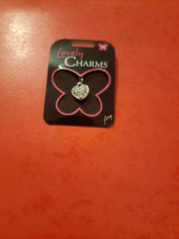 Pendantif  fantaisie charms coeur