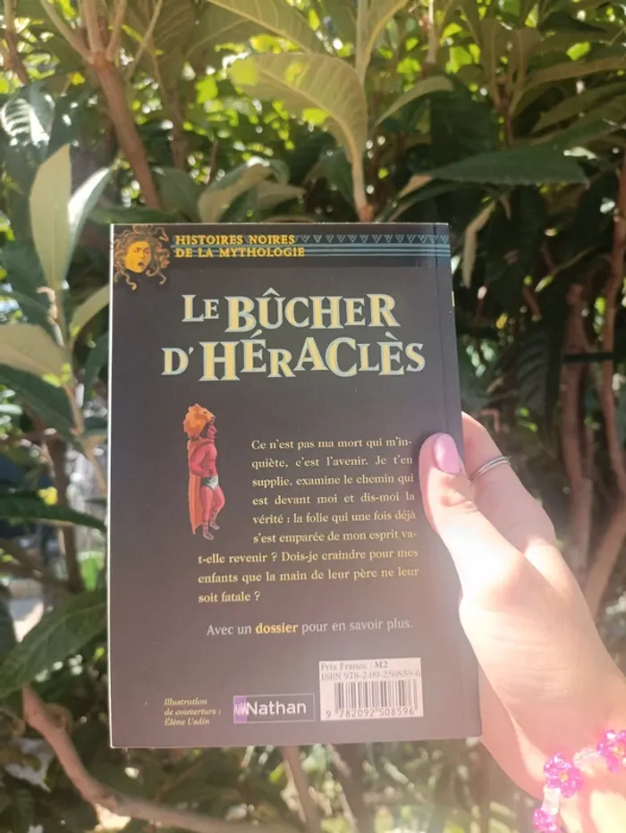 Lot de 4 livres Histoires noires de la mythologie et histoires de la bible - photo numéro 8