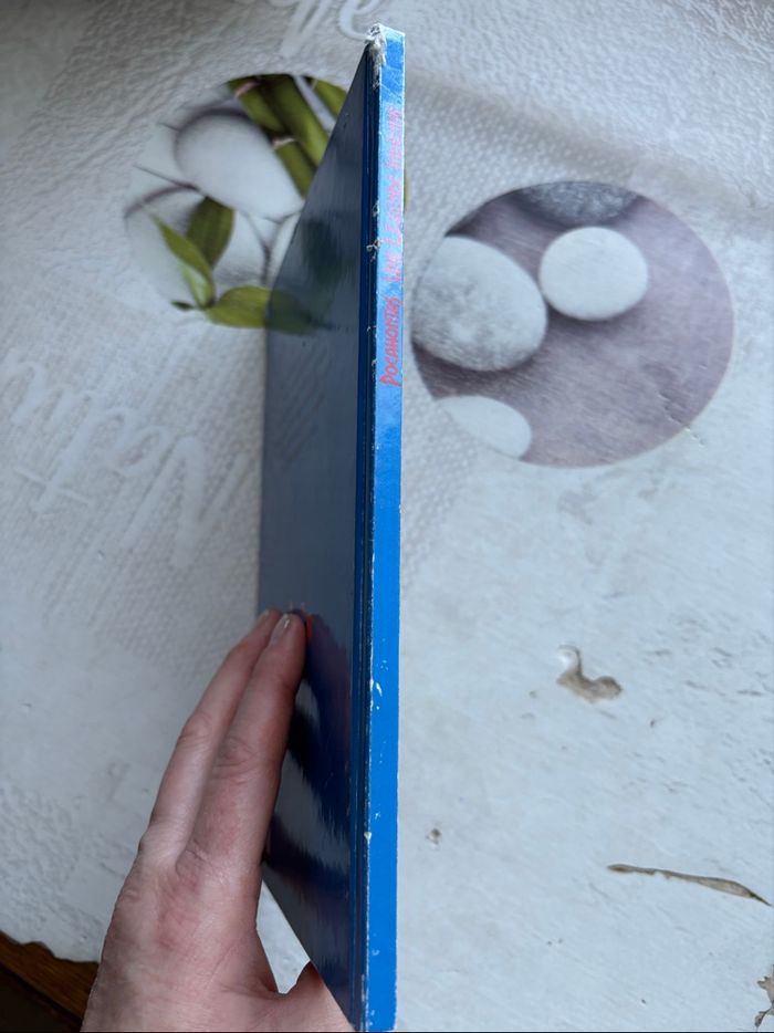 Livre Disney - photo numéro 6