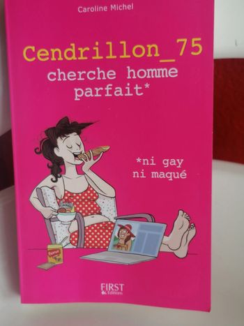 Livre Cendrillon _75 cherche homme parfait*
