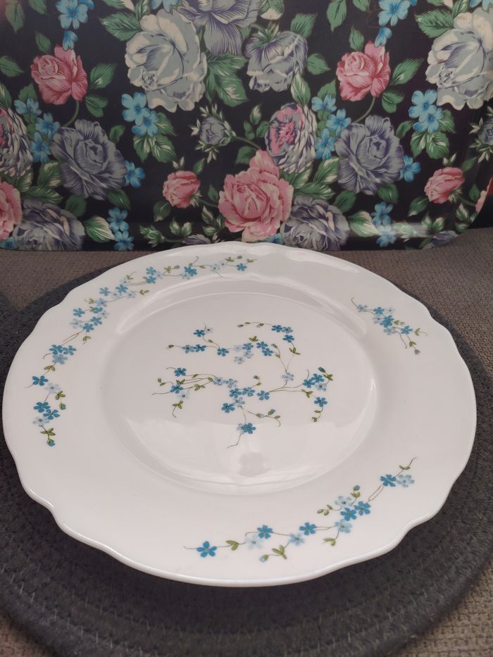 Ensemble de 2 plats ronds Arcopal motifs myosotis Veronica - photo numéro 3
