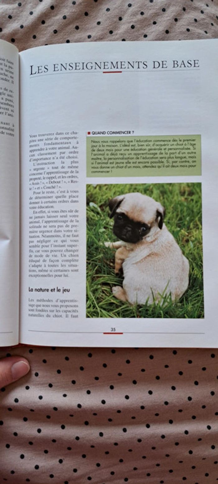 L'éducation du chien - photo numéro 5