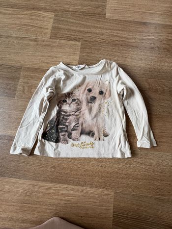 pull chien et chat