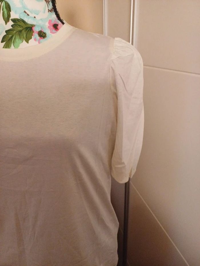 Camisetas Massimo Dutti nueva