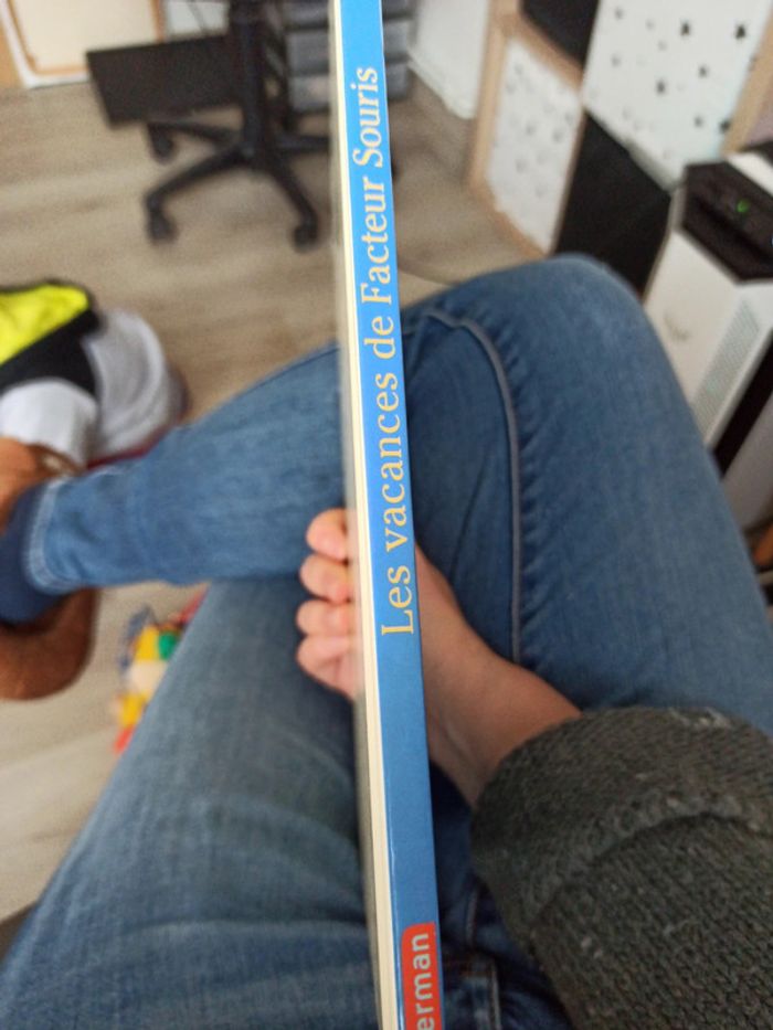 Livre les vacances de facteur souris - photo numéro 2