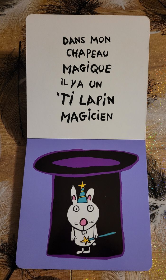 'Ti lapin magicien Benoît Charlat - photo numéro 2