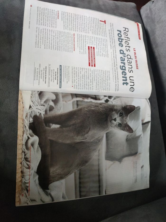 Magazine 30 millions d'amis numéro 382 mars 2020 - photo numéro 9