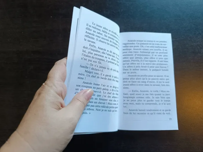 Livre ANATOLE TAMAR, LE ZEBRE À POIS - Clémentine Pol Tanguy - photo numéro 4