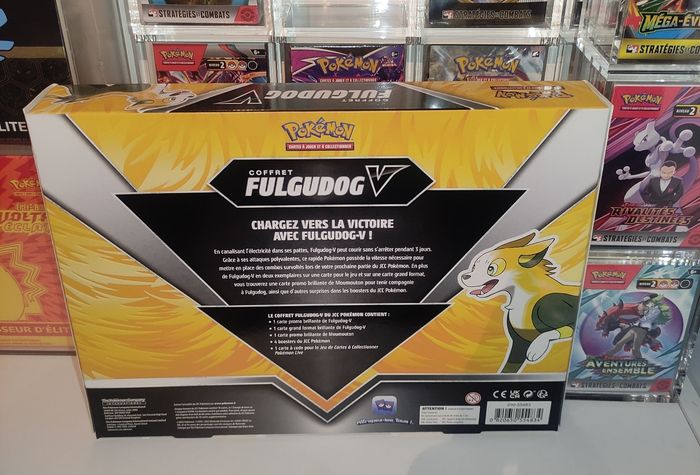 Coffret pokémon  fulgudog - photo numéro 4