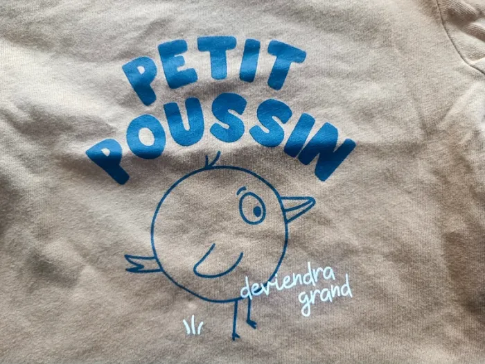 Lot t shirt manches longues 6 mois - photo numéro 19