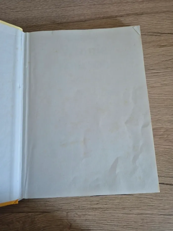 Livre winnie l'ourson - photo numéro 2