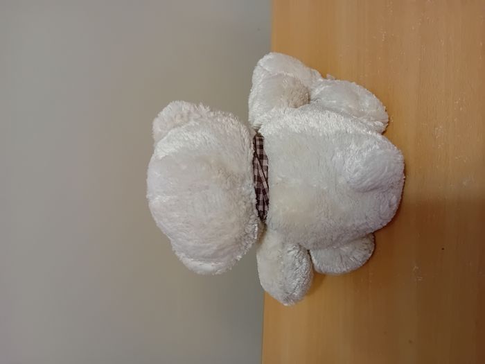 ours en peluche Tiamo - photo numéro 3