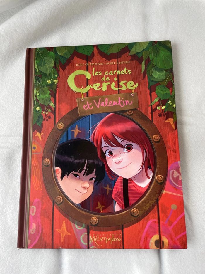 BD Les carnets de Cerise et Valentin - photo numéro 2