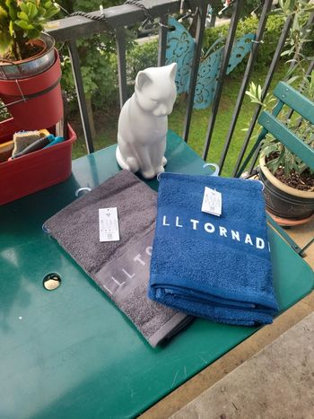 Lot de 2 draps de bain. Neufs. Soldes