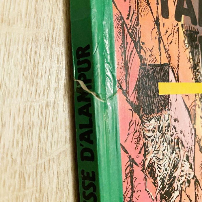 BD Chevalier Ardent Tome 17 : Yama, Princesse d’Alampur (1989) Bande Dessinée Édition Originale - photo numéro 6