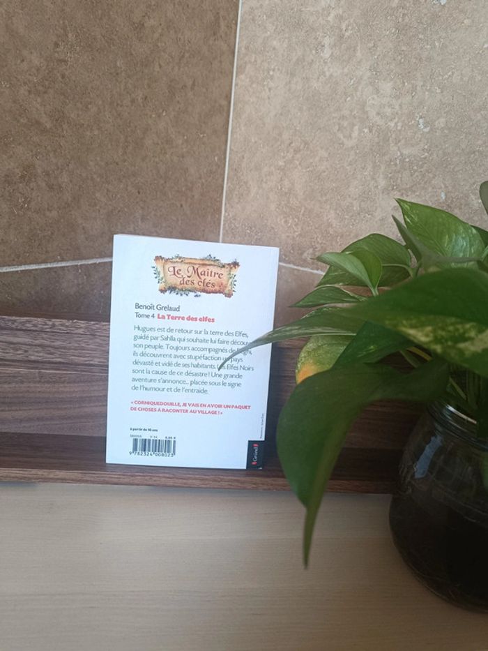 Livre le maître des clés - photo numéro 2