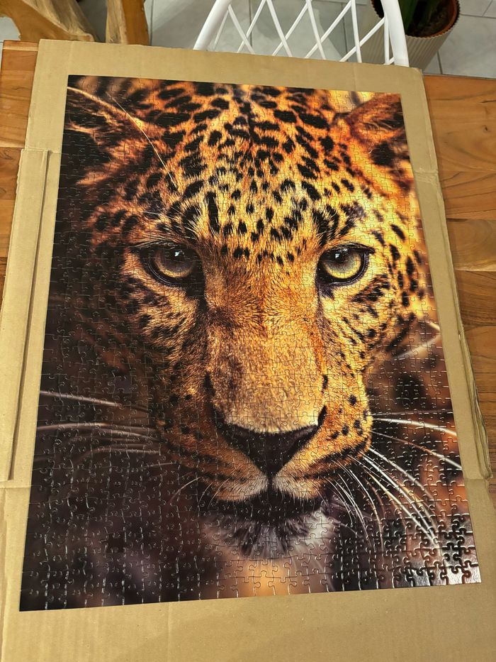 Puzzle Léopard 1000 pièces - photo numéro 7
