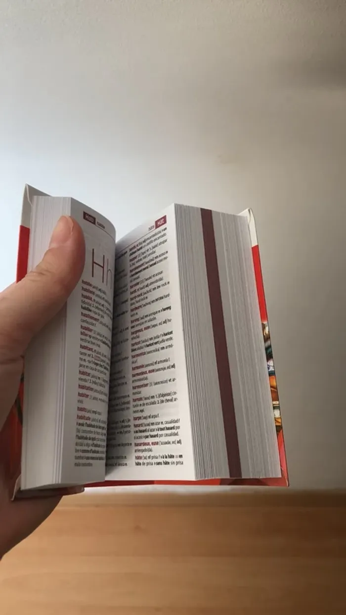 Dictionnaire mini espagnol - photo numéro 4