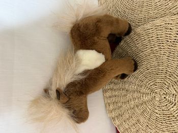 Teddy Hermann  Cheval Poney Shetland