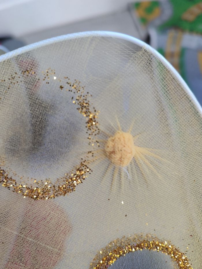 Ailes d'abeilles - photo numéro 2