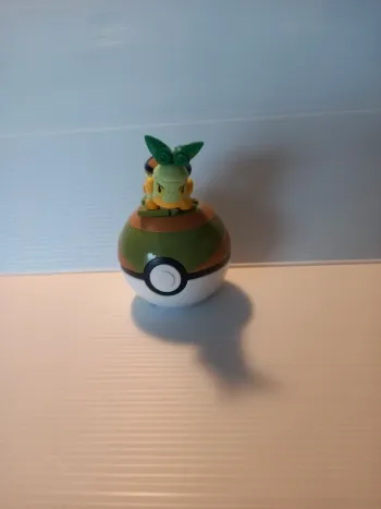 Mega tortipouss