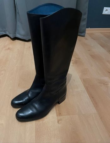 Bottes salamender