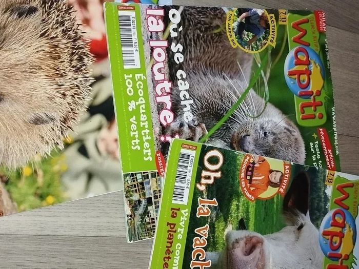 Lot de 7 magazines Wapiti année 2008-09 L025  7585218311 - photo numéro 7