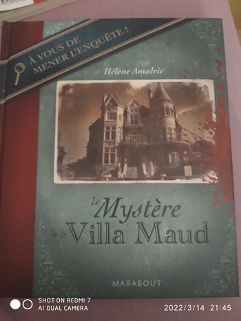 Le mystère de la villa maud