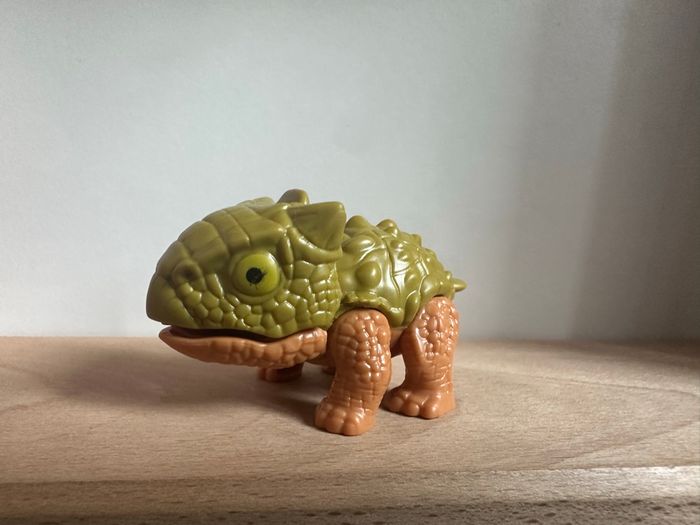 Petits dinosaures - photo numéro 3