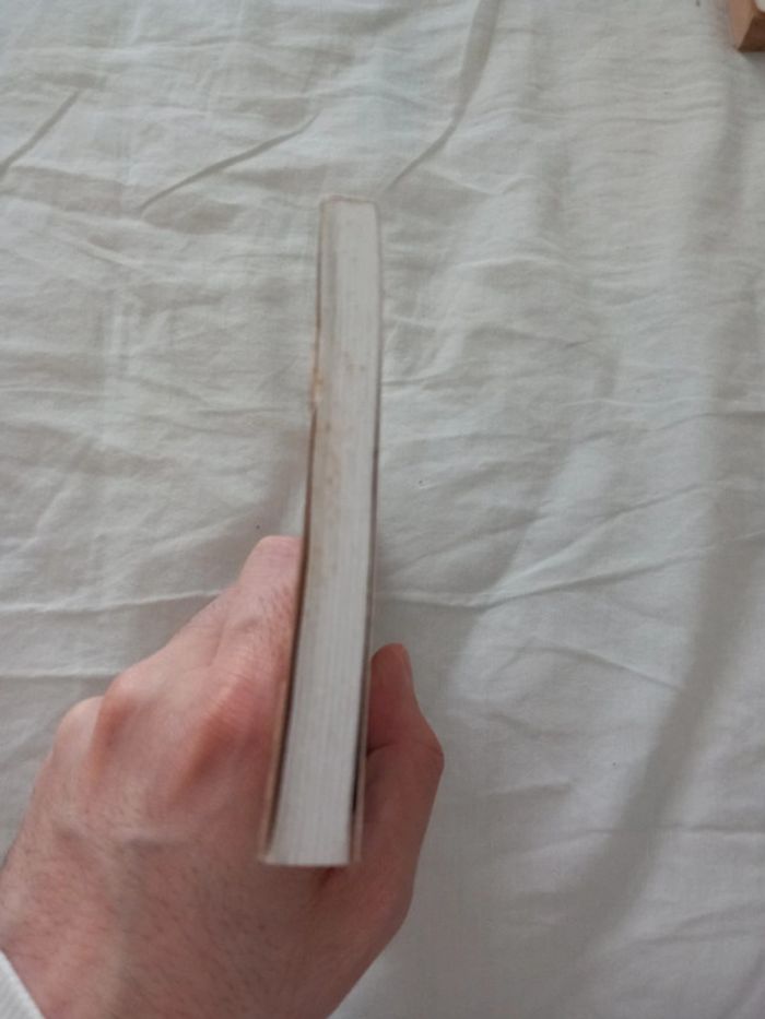 L'incroyable voyage - photo numéro 5