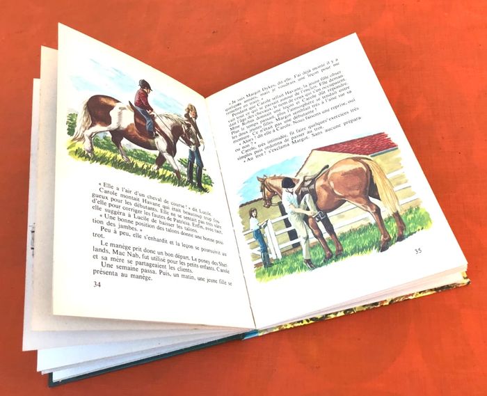 Anne Rochegude L' Incroyable voyage et autres histoires de chevaux - photo numéro 7