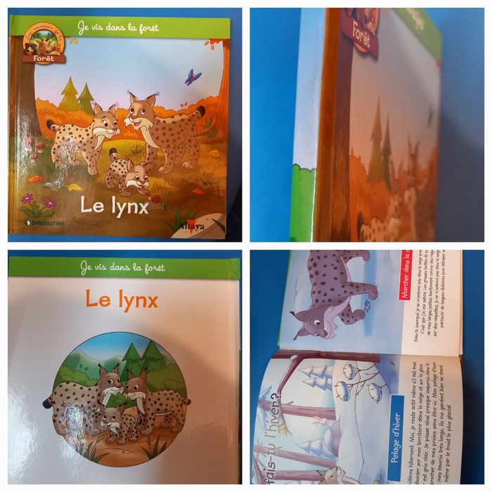 4 livres enfants - photo numéro 3