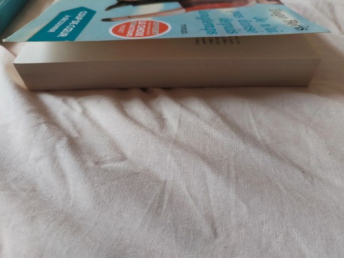 Livre je n'ai pas dansé depuis longtemps - photo numéro 3