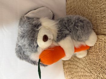 Peluche lapin et sa carotte