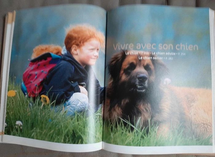 Larousse du chien - photo numéro 2