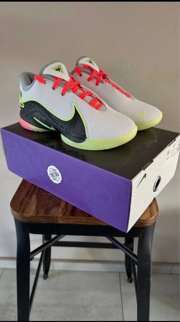 Chaussure LeBron james XXII