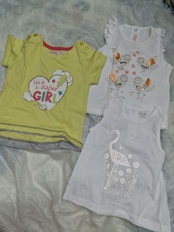 Lot tee shirt manches courtes