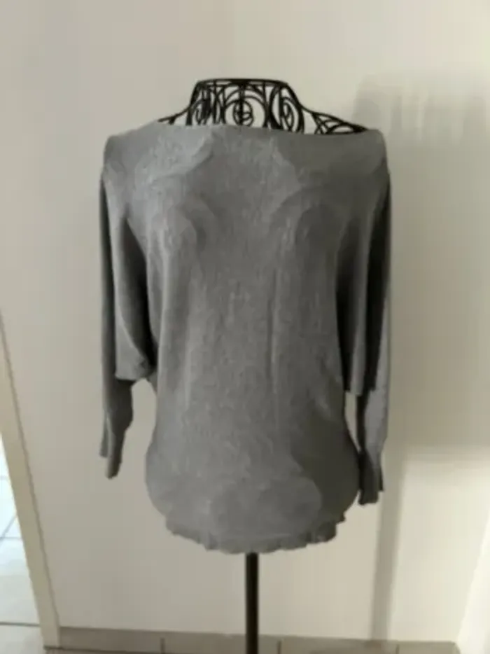 Pull manches chauve souris
