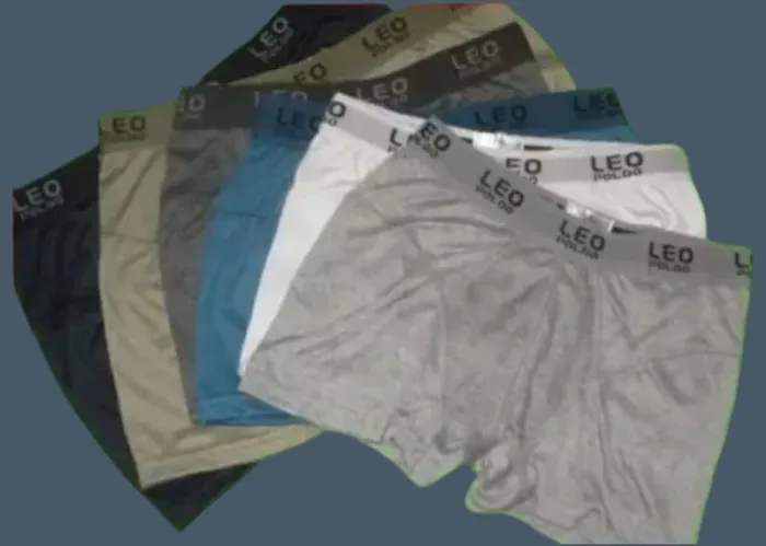 Lot 10 Boxer Leo Poldo Taille XXL emballer individuellement