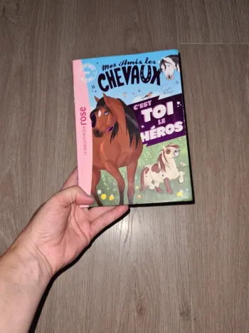 Mes amis les chevaux la bibliothèque rose