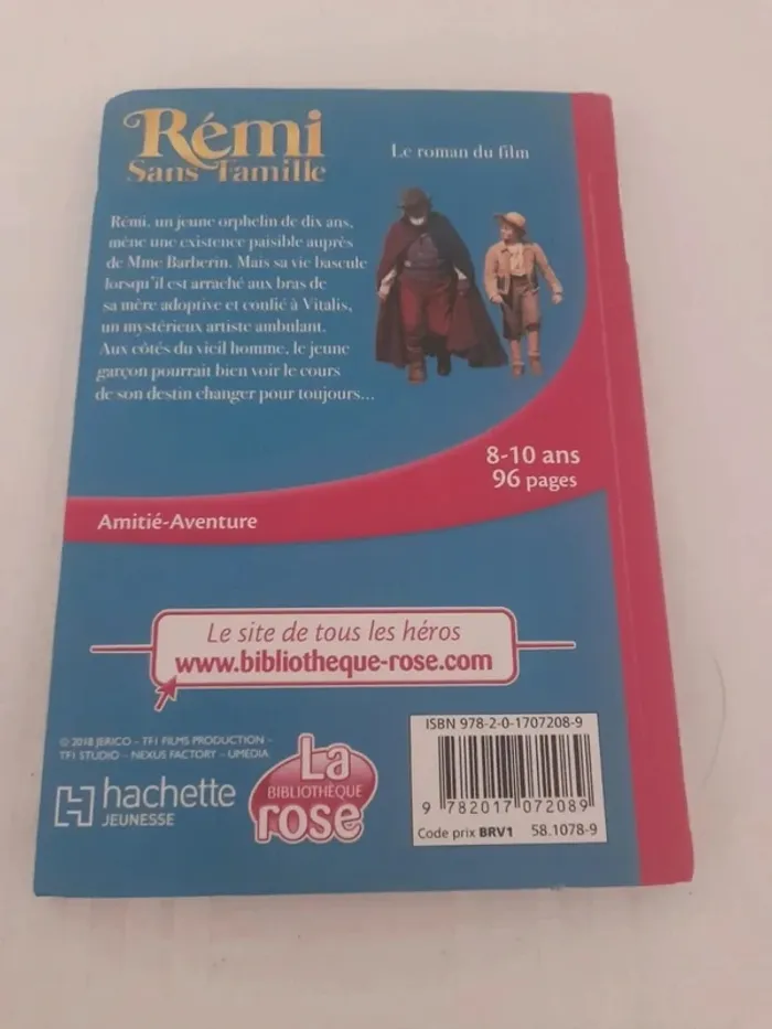 Livre Rémi sans famille 8/10ans - photo numéro 2