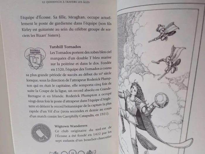 Le Quidditch à travers les âges - photo numéro 6
