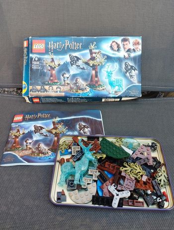 Lego Harry Potter