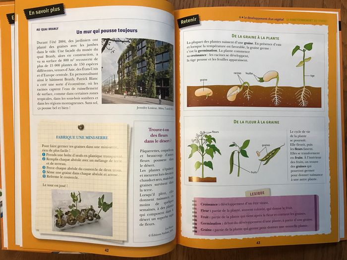 Sciences CE2 - Livre de l'élève - photo numéro 4