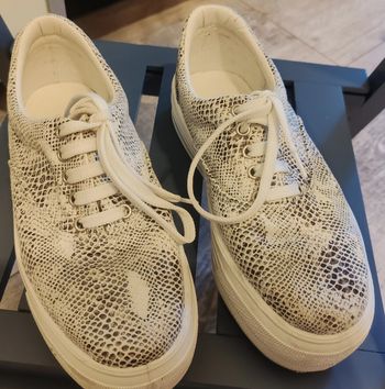 baskets taille 37