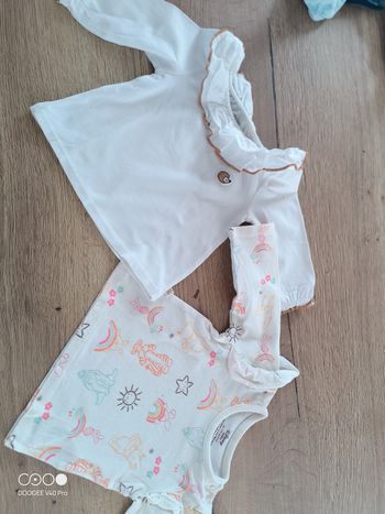 Lot de 2 sweatshirt Disney baby et obaïbi 3 mois